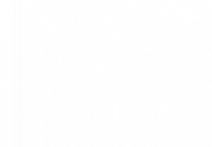 nightpearl logo vertical weiß