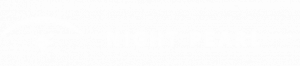 nightpearl logo